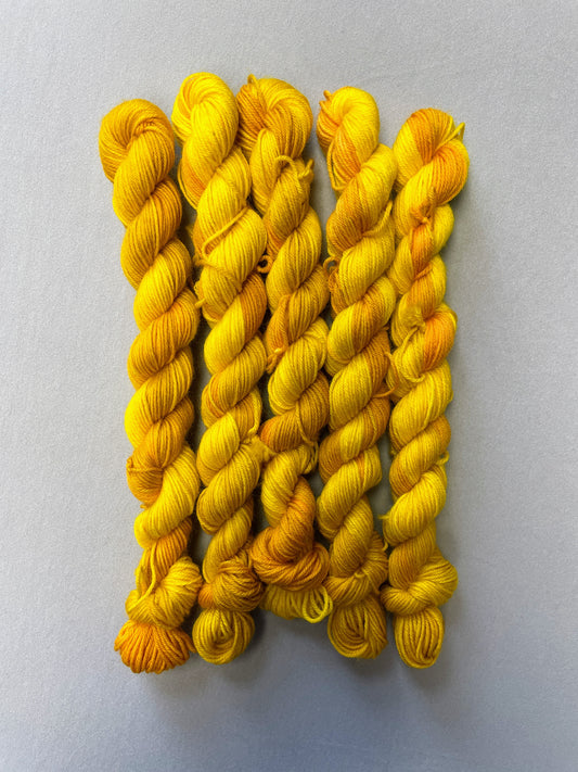 5 x 20g Sock mini skeins in colourway Golden Harvest, photographed on a light grey background. Each skein is twisted and shows tonal variations of Mustard, Yellow and Golden Poppy.