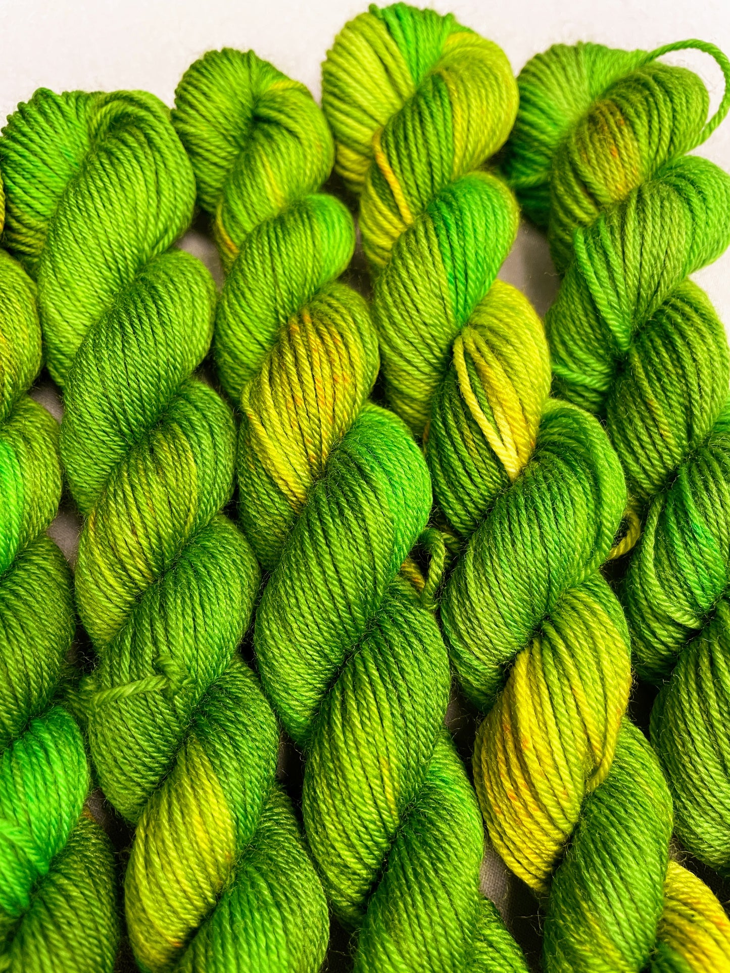 20g Parakeet - Hand-dyed Yarn