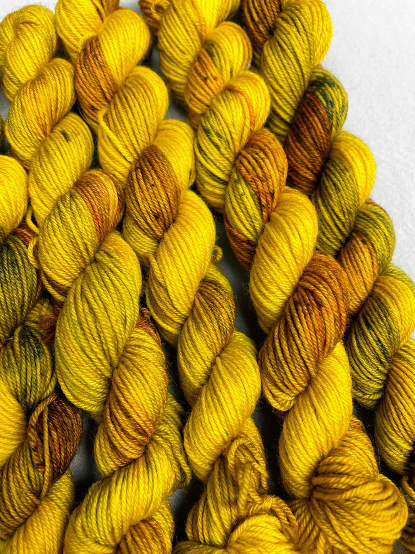 20g Sunflower Seeds - Hand-dyed Yarn