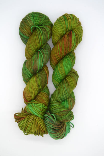 100g DK Merino/Nylon 025