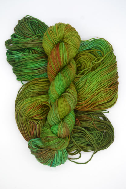 100g DK Merino/Nylon 025