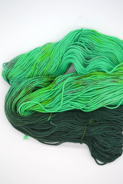 100g DK Merino/Nylon 027