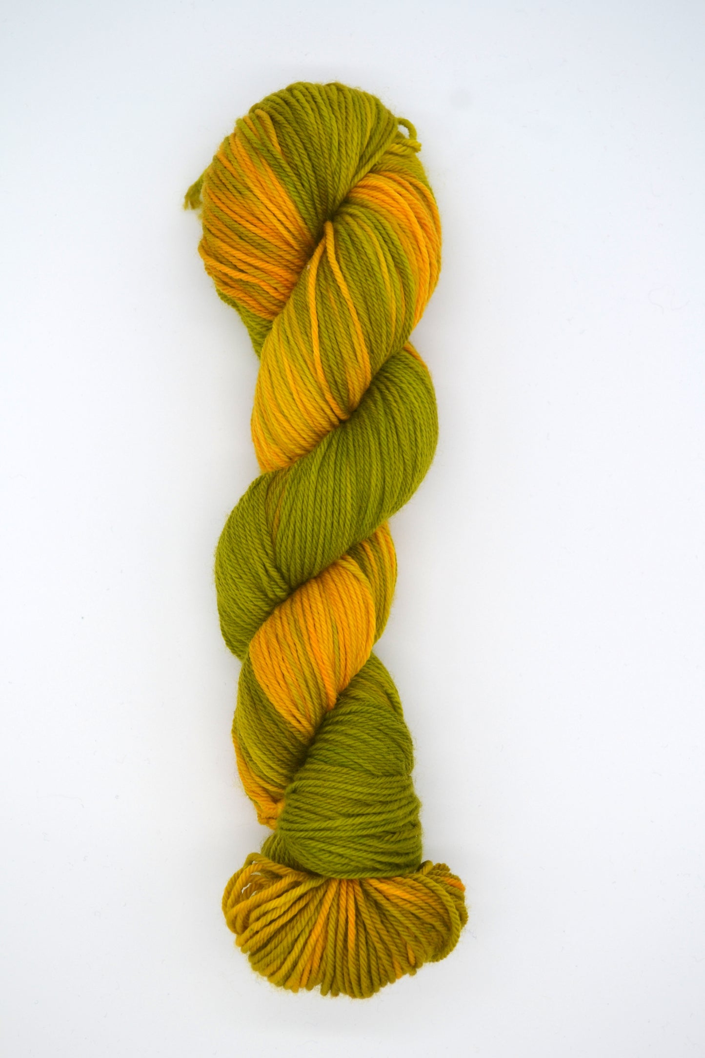 100g DK Merino/Nylon 031