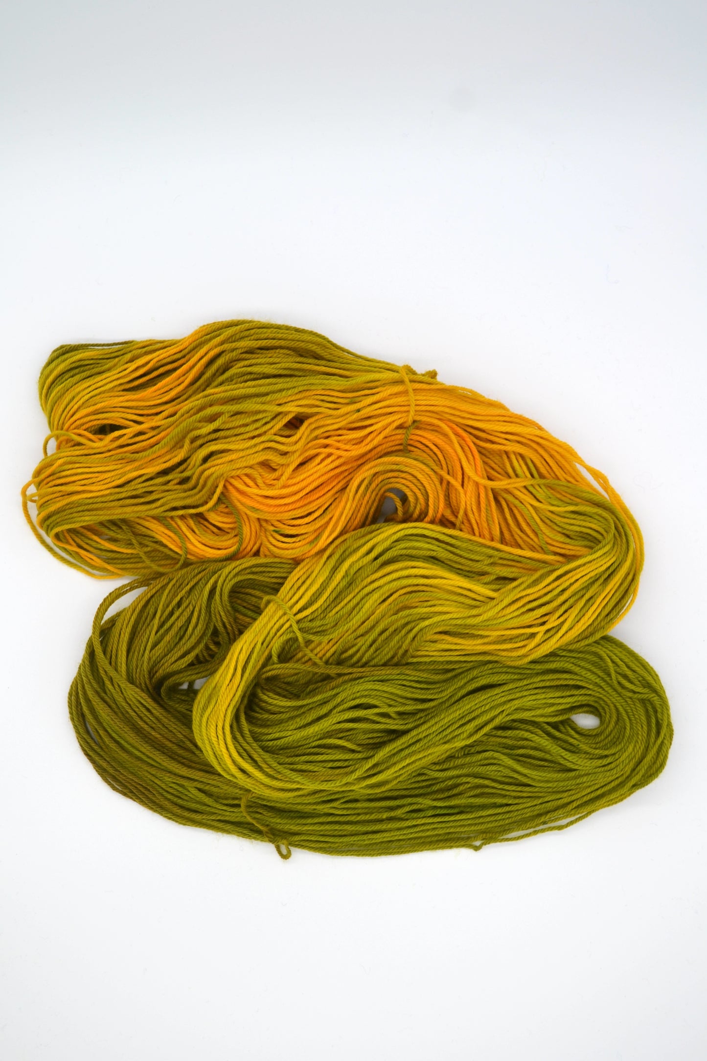 100g DK Merino/Nylon 031
