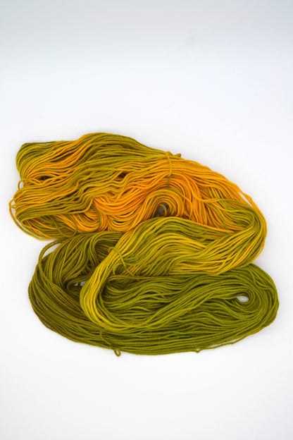 100g DK Merino/Nylon 031