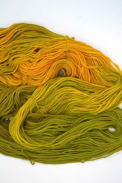 100g DK Merino/Nylon 031