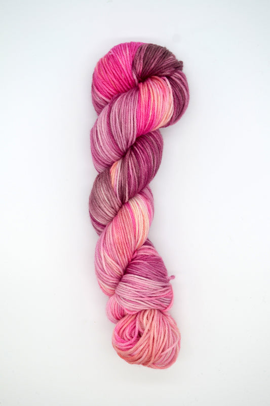 100g DK Pink Pony Club Hand-dyed Yarn
