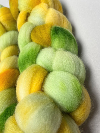 Polwarth - Lemon & Lime 100g Fibre Roving