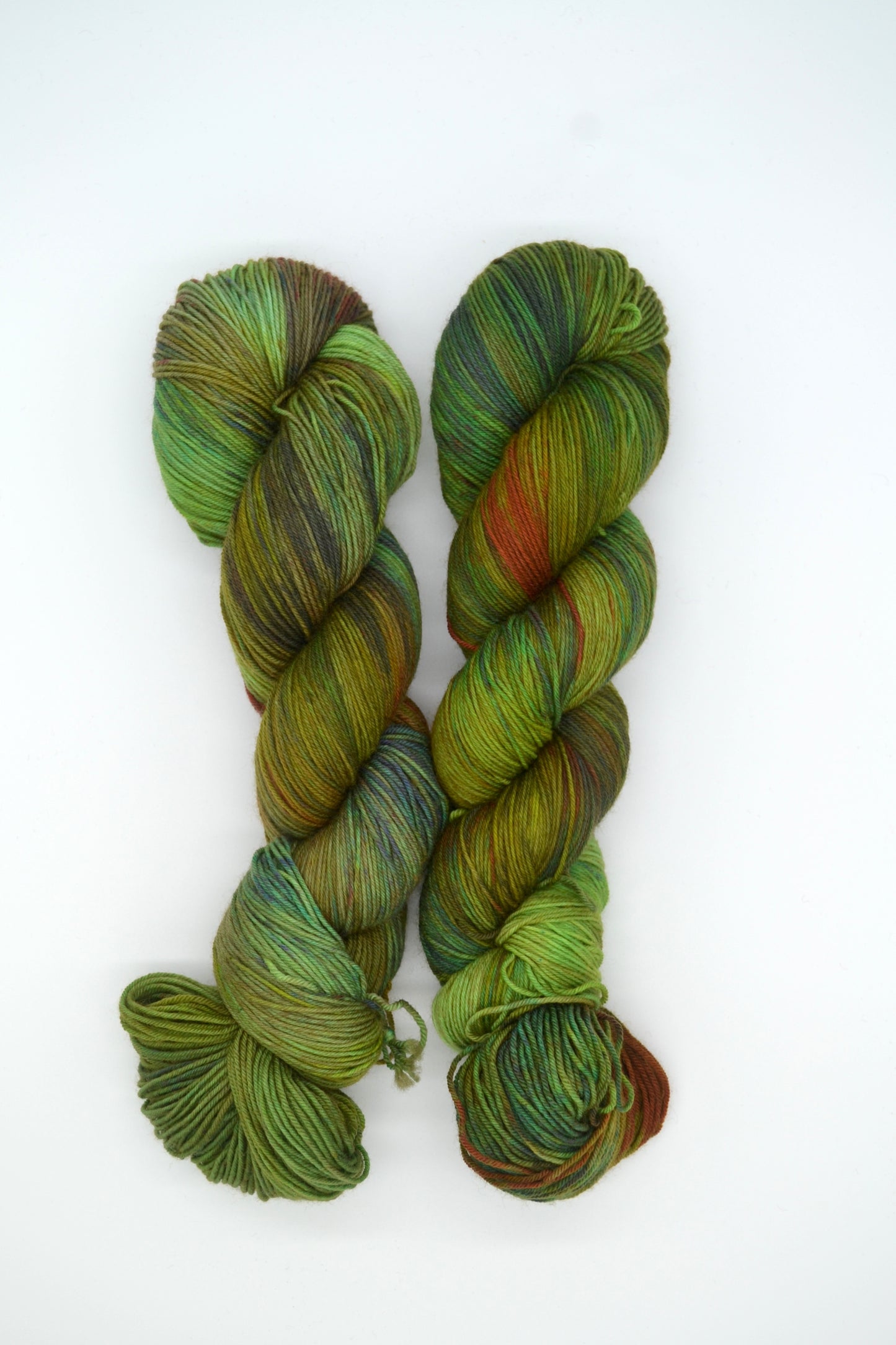 100g Sock Enchanted Forest Hand-dyed Yarn