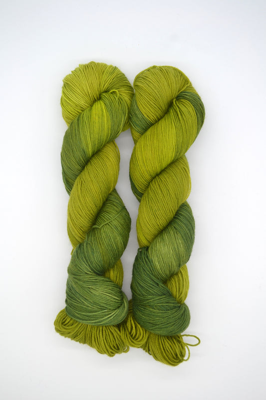 100g Sock Lichen Hand-dyed Yarn