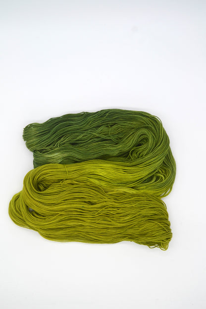 100g Sock Lichen Hand-dyed Yarn
