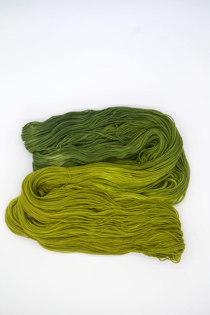 100g Sock Lichen Hand-dyed Yarn