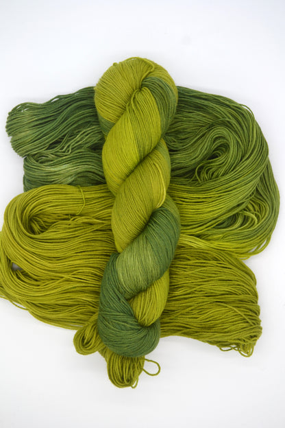 100g Sock Lichen Hand-dyed Yarn
