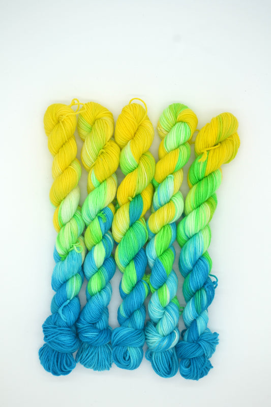 20g Sock Parrot Mini Skein