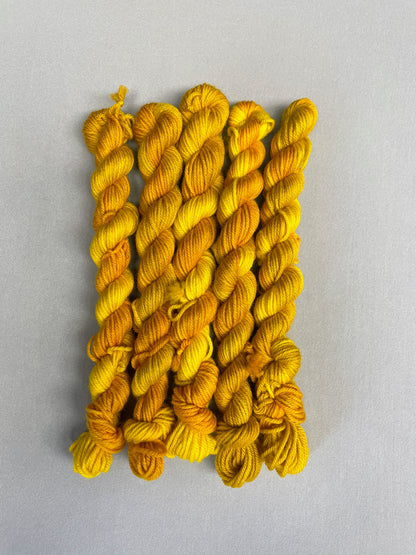 5 x 20g DK mini skeins in colourway Golden Harvest, photographed on a light grey background. Each skein is twisted and shows tonal variations of Mustard, Yellow and Golden Poppy. 