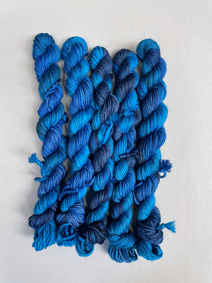 20g Sea Swell - Hand-dyed Yarn