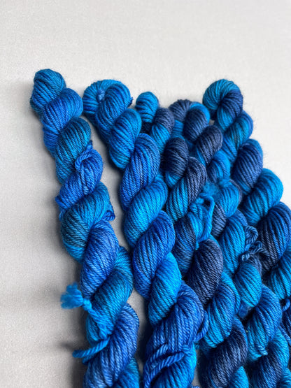 20g Sea Swell - Hand-dyed Yarn