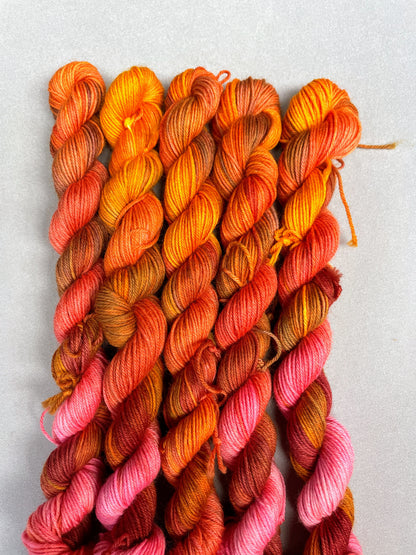 20g Apricot Delight - Hand-dyed Yarn