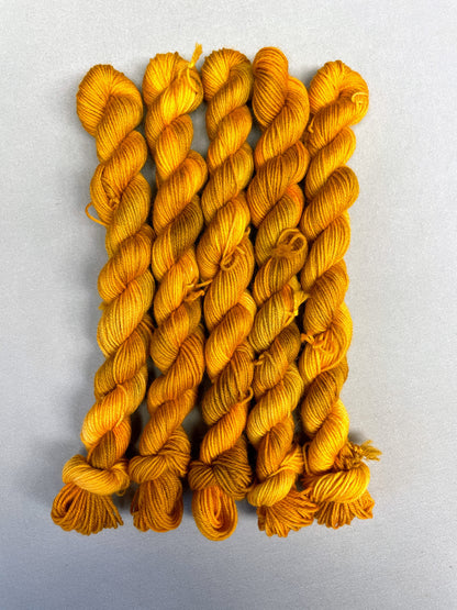 Hand-dyed Yarn 
5 x 20g, twisted, Sock mini skeins in colourway Hay Fields, photographed on a light grey background. This colourway is variegated with golden tones of Mustard, Golden Poppy and Saffron.