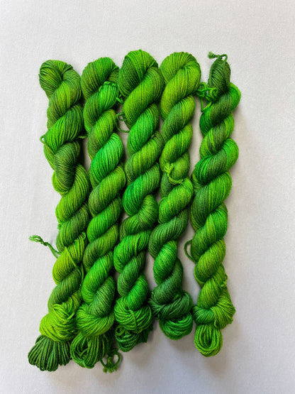 20g Mossy Frog - Hand-dyed Yarn