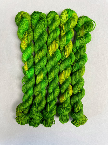 20g Parakeet - Hand-dyed Yarn