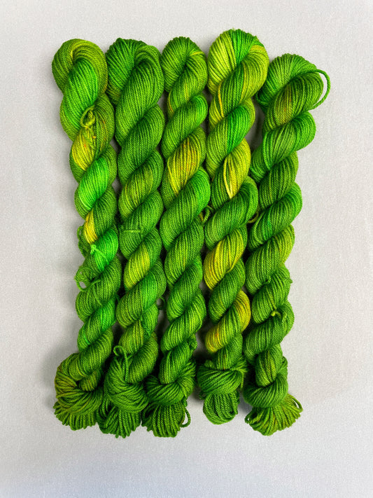 20g Parakeet - Hand-dyed Yarn