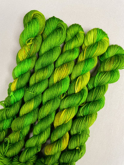 20g Parakeet - Hand-dyed Yarn