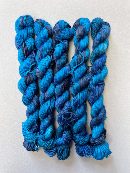 20g Sea Swell - Hand-dyed Yarn