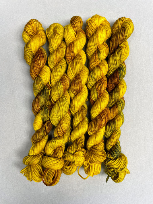 20g Sunflower Seeds - Hand-dyed Yarn