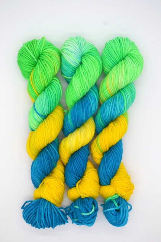 50g DK Parrot Hand-dyed Yarn
