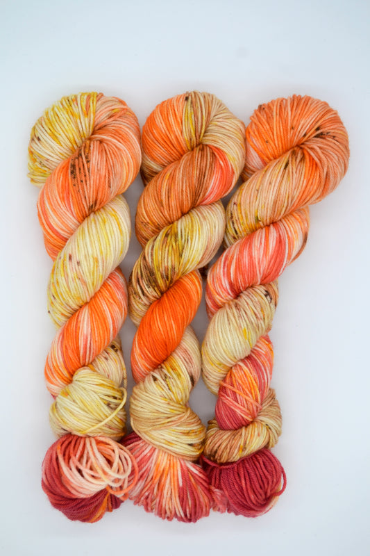 100g DK Honeybee Hand-dyed Yarn