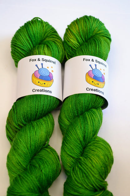 100g DK Merino/Nylon 009