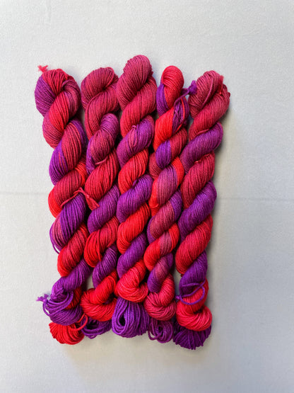 Plum Fizz - 20g Mini Skein