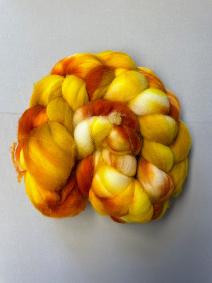 Merino (Superwash) - Spice Rack 100g Fibre Roving