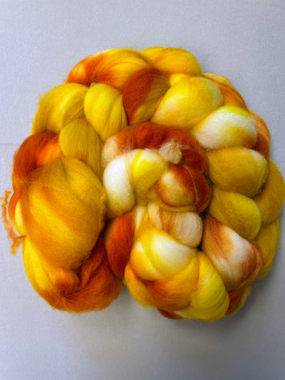 Merino (Superwash) - Spice Rack 100g Fibre Roving