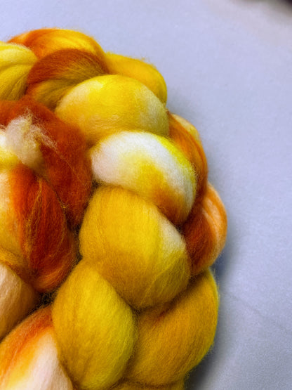 Merino (Superwash) - Spice Rack 100g Fibre Roving