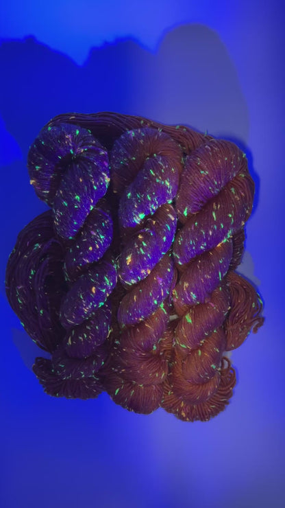 100g 4ply Neon Neps Saffron Hand-dyed Yarn